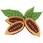 Какао — растение